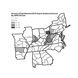 2015 VA Snake root